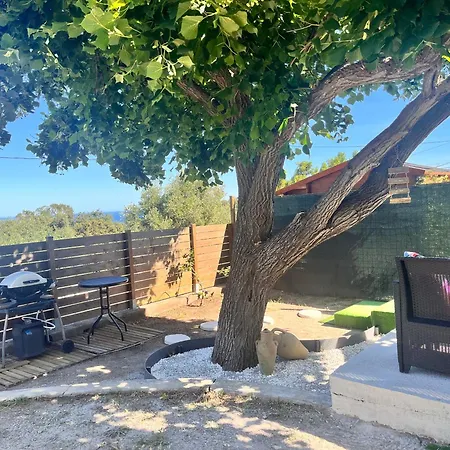 E Vignacce * Lumio (Corsica)
